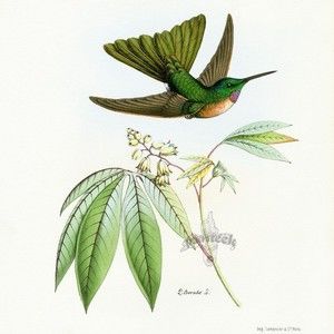 Meet your Posher, Jocelyn